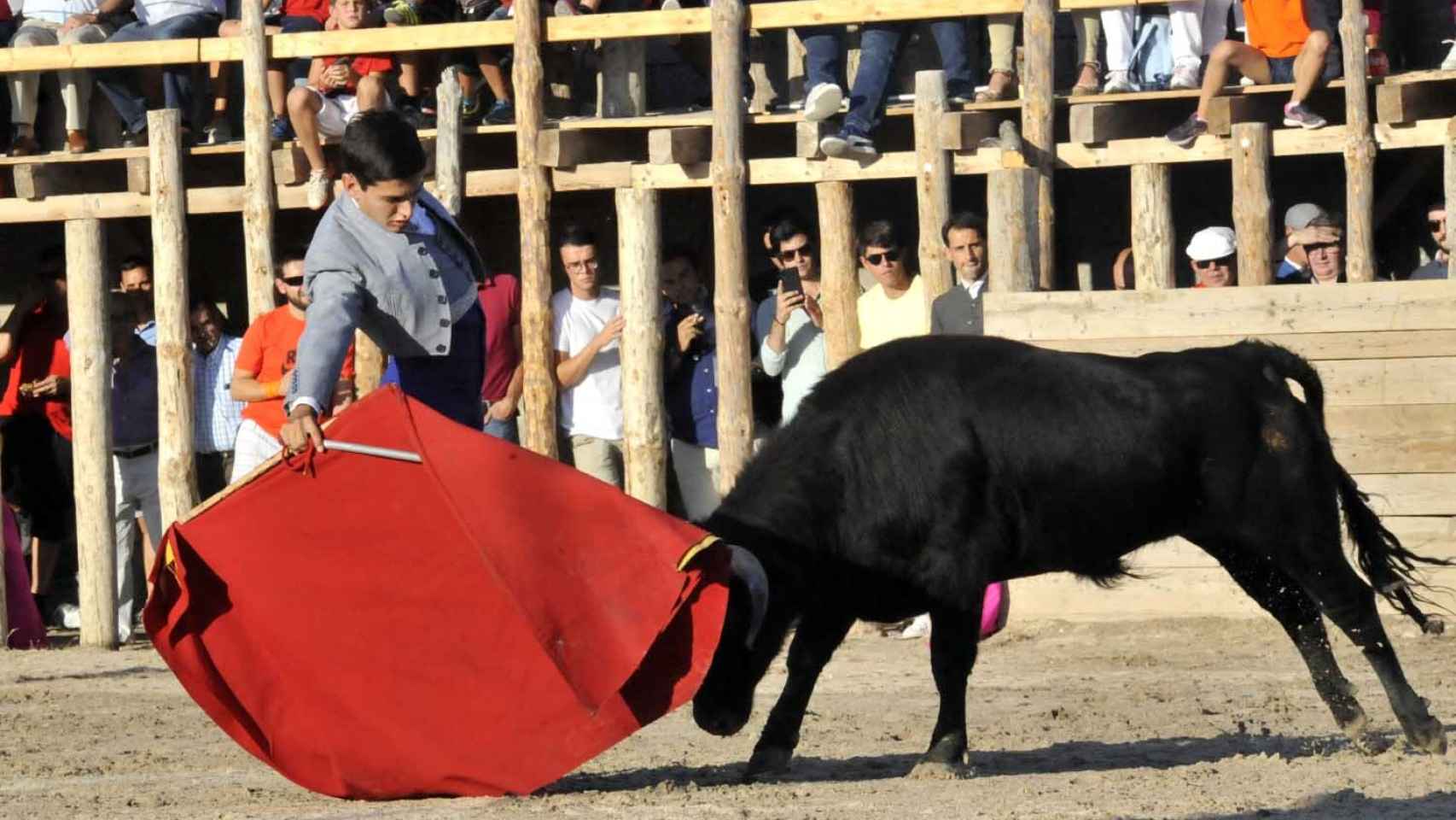 Un evento taurino en la plaza de toros de Montemayor