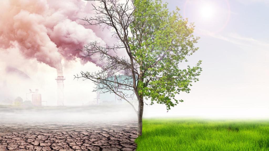 Las emisiones de CO₂ continúan afectando a la salud de la biodiversidad del planeta.