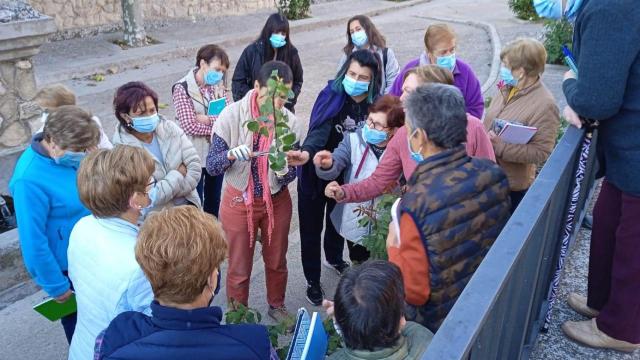 Amfar sigue impulsado la formación de la mujer rural en Castilla-La Mancha: todas las actividades