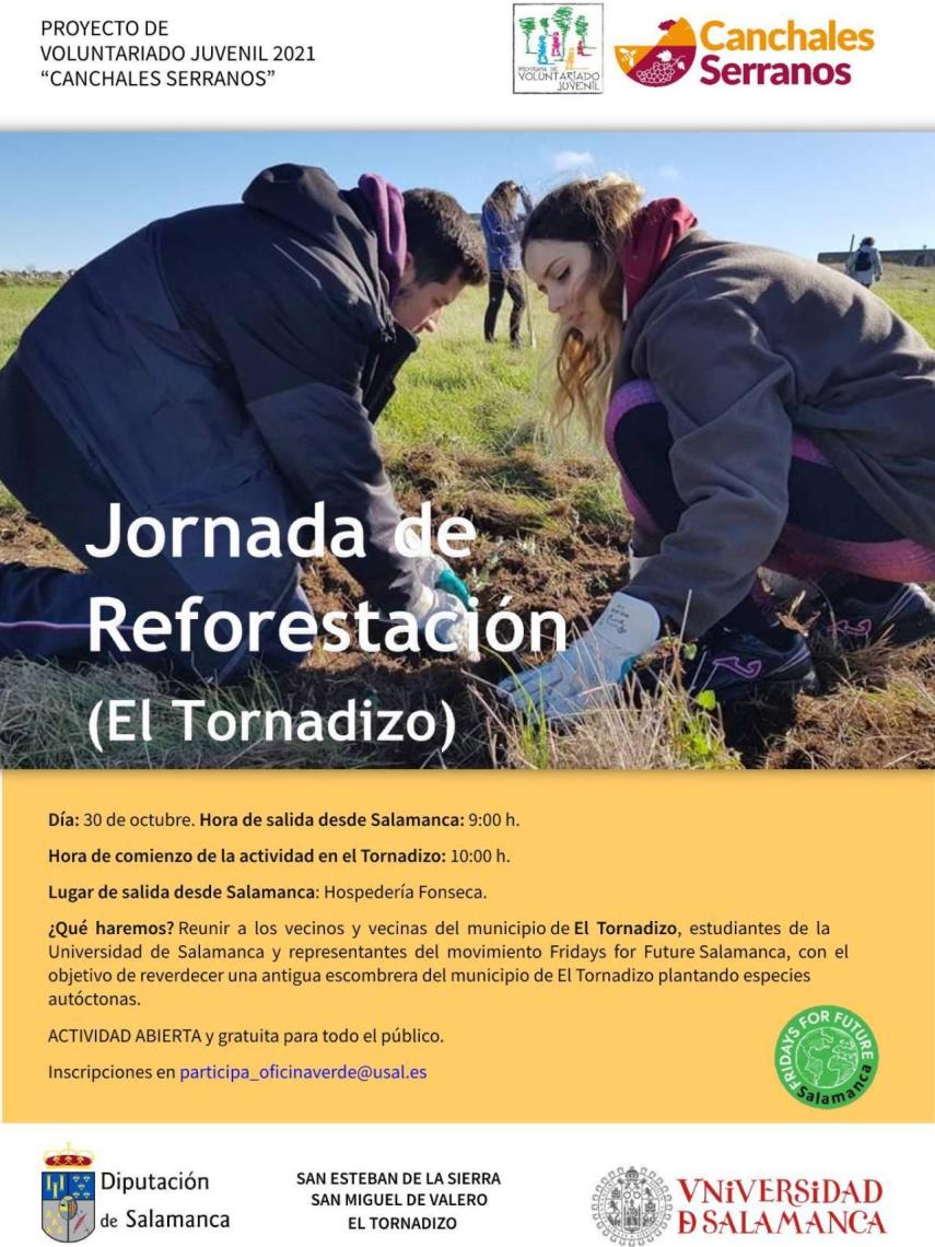 Cartel Reforestación
