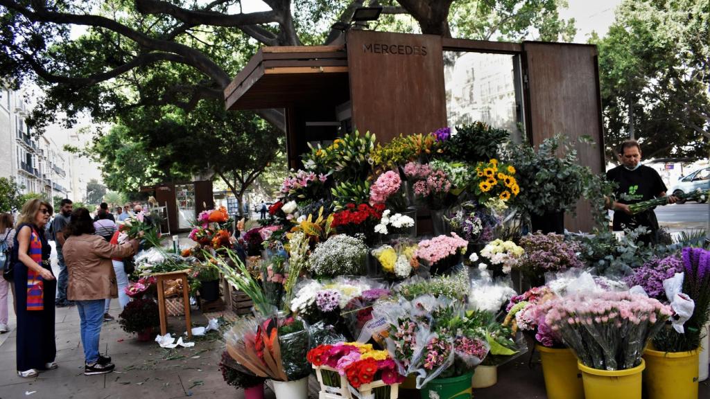 Alegría contenida en las floristerías de Málaga ante el Día de Todos los  Santos: 