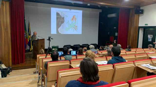 Un seminario analiza la situación del oso pardo en la frontera entre Zamora y Portugal