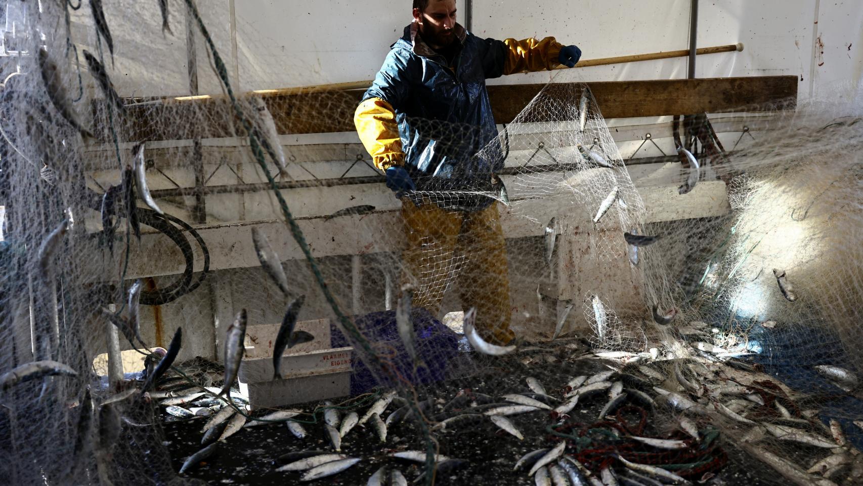 Un pescador vacía sus redes en el puerto de Boulogne sur Mer, en Francia.