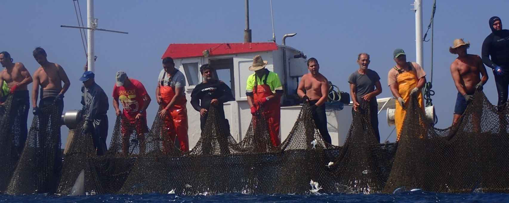 Los pescadores de la almadraba de Ceuta de la empresa Fraimartin.