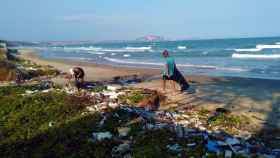 Voluntarios recogen basura en una playa.