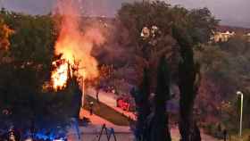 Actuación de los bomberos de Toledo para sofocar la quema de uno de los árboles incendiados en el Poligono.