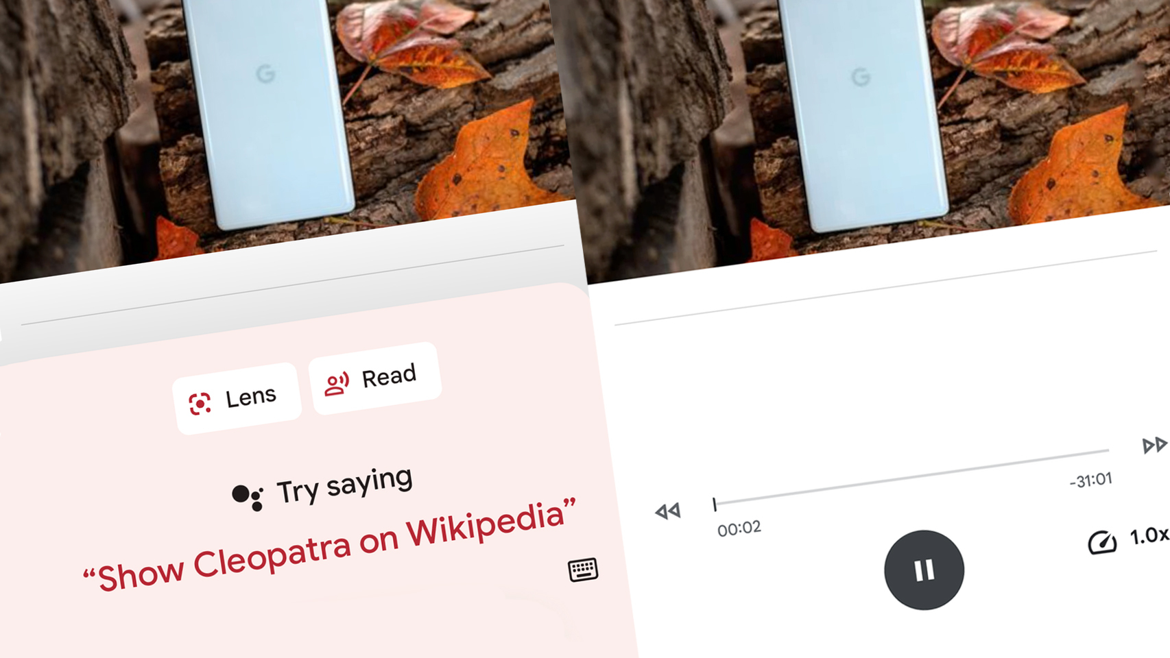 625699289_214305275_1706x960.jpg