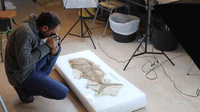 El fósil del pez encontrado y analizado por el MUPE.