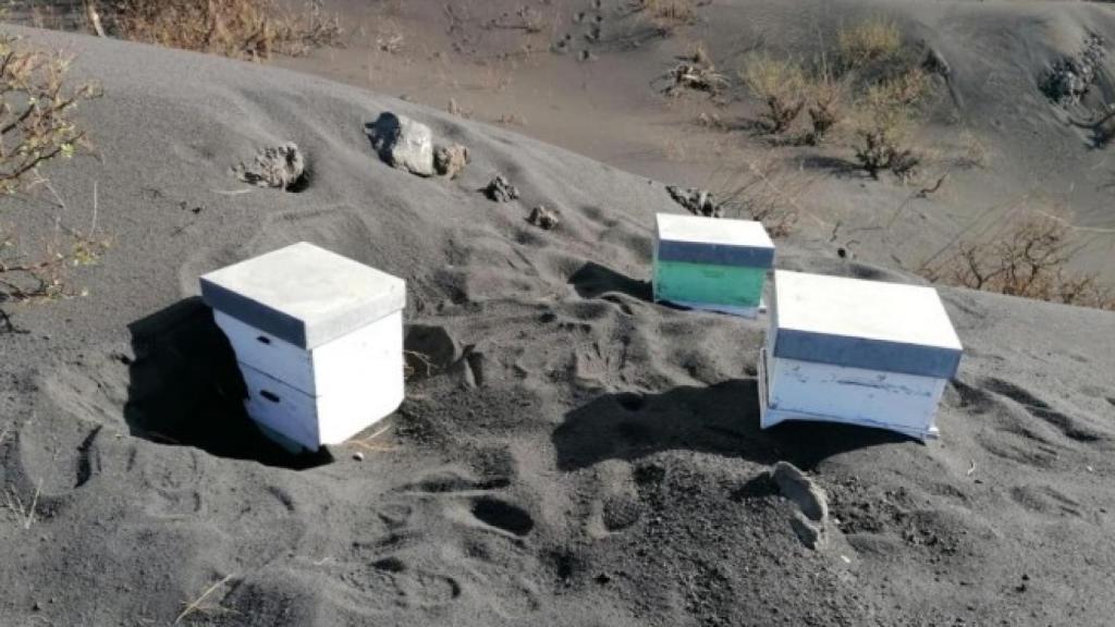 Imagen de las consecuencias de la erupción del volcán Cumbre Vieja.