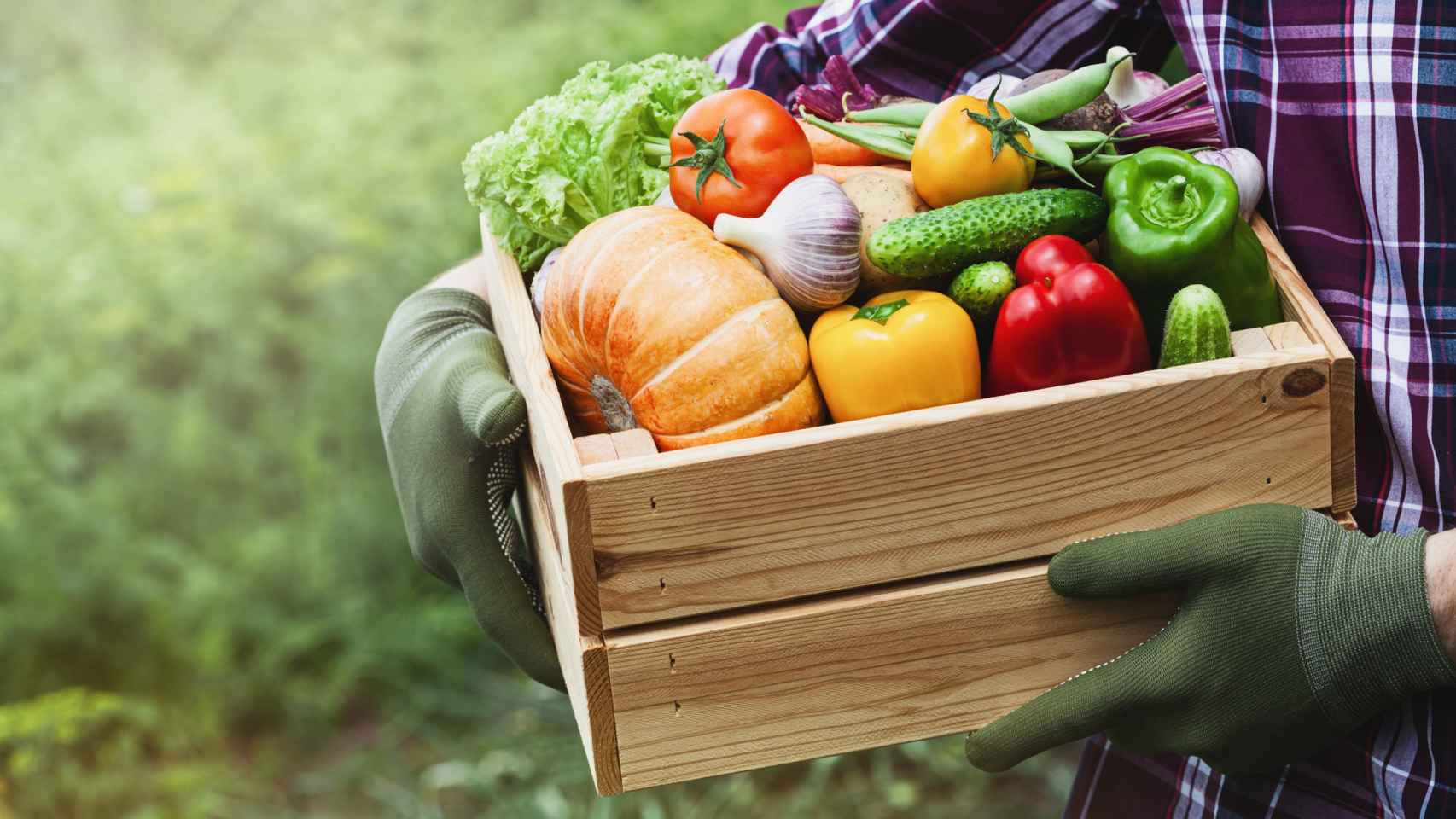 Un agricultor con un cajón lleno de verduras.