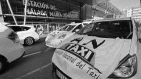 Protesta del taxi contra el aumento de las VTC en Málaga.