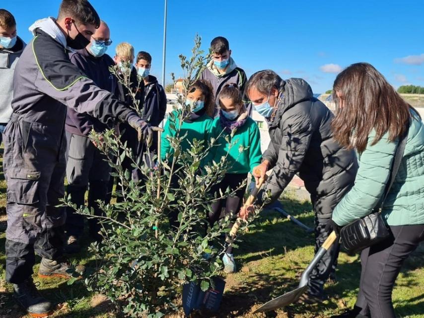 Proyecto 'Bosques savios', incremento de la masa forestal en los entornos  urbanos de Salamanca