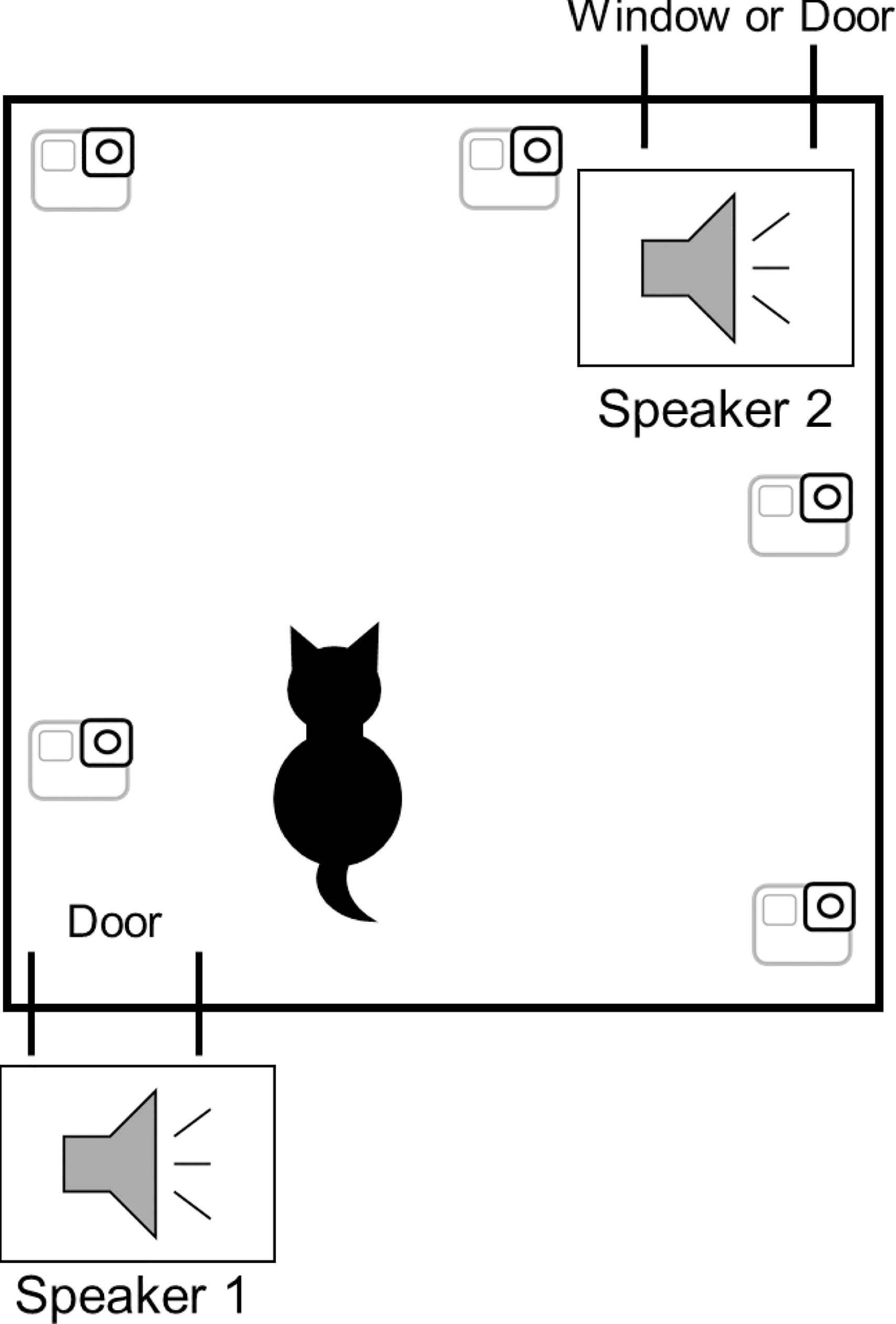 Los científicos colocaron un altavoz fuera de la sala y otro dentro, y grabaron un video de las respuestas de los gatos a los sonidos.