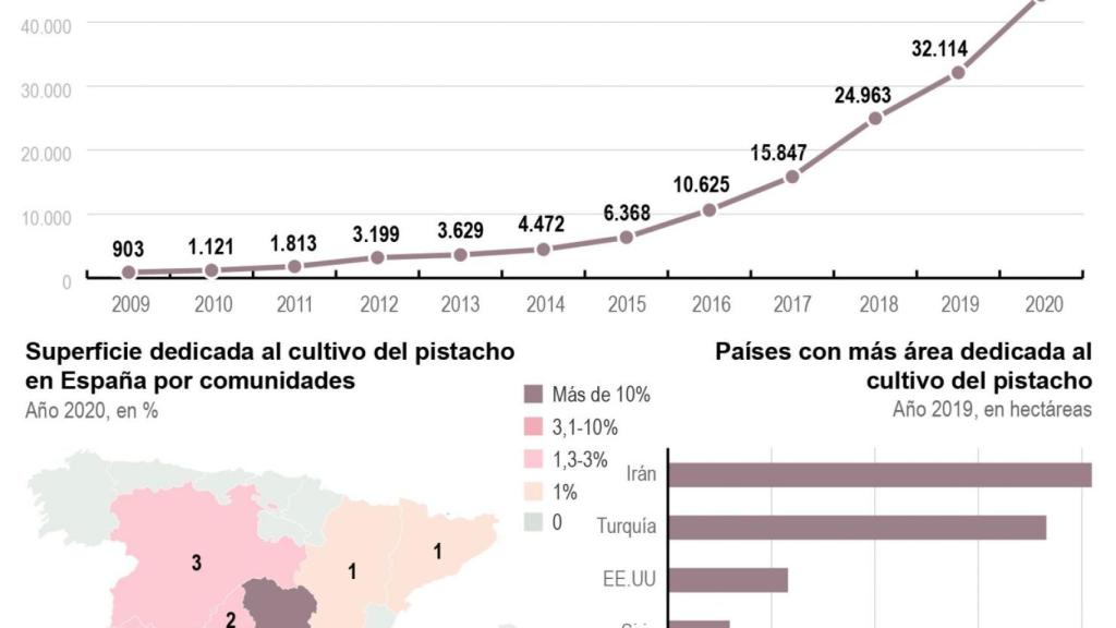 El exponencial crecimiento de las hectáreas de pistacho cultivadas en España.