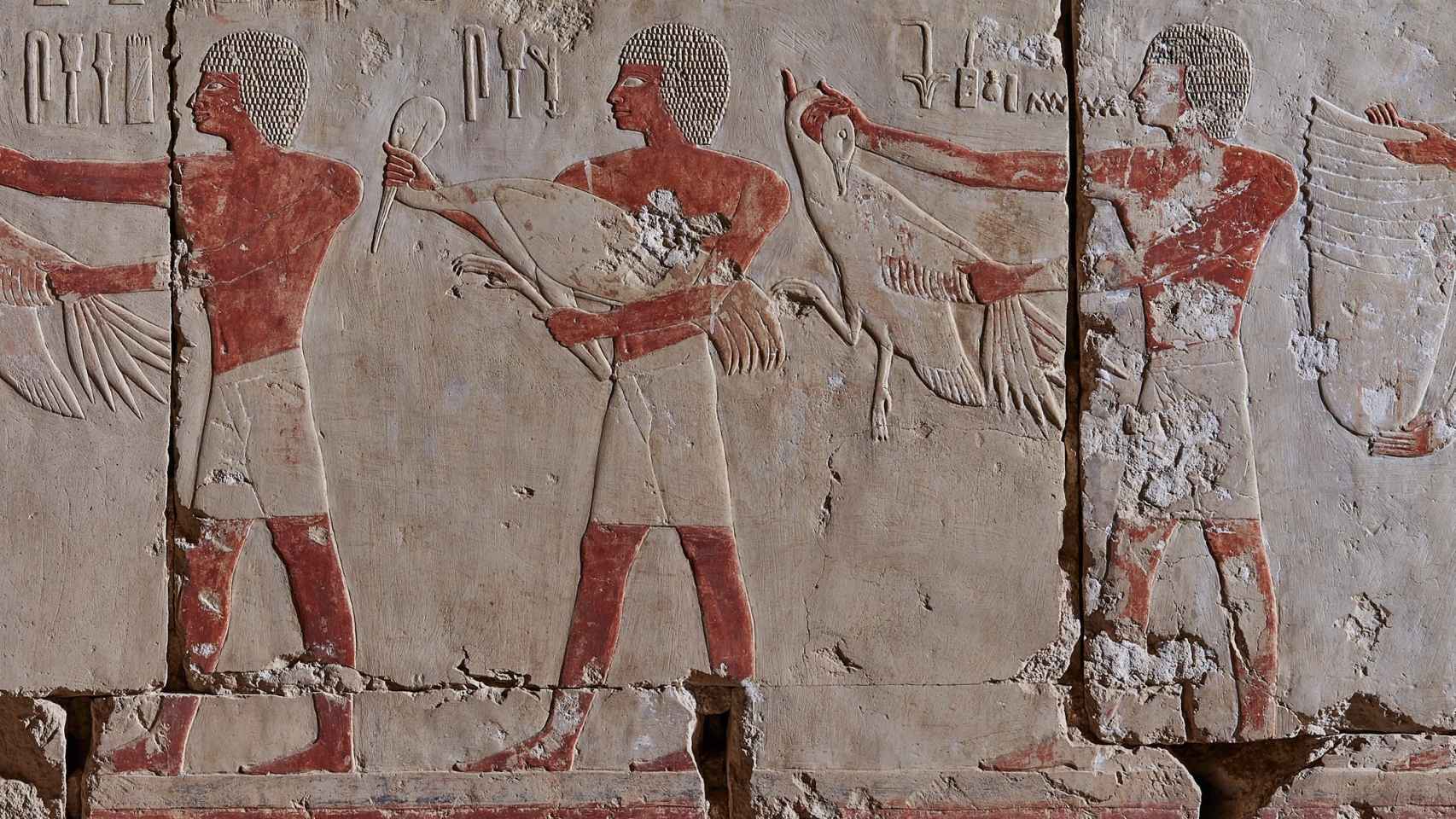 Los relieves del templo de la faraona Hatshepsut desvelan cómo se hacía el  arte del Antiguo Egipto