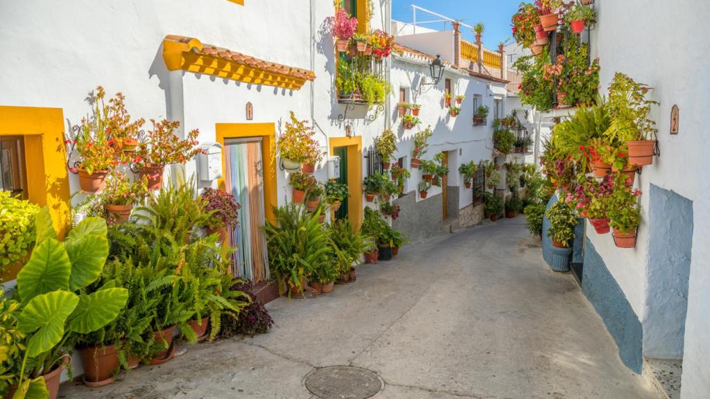 Las flores engalanan las calles de Canillas de Aceituno como vienen haciendo desde hace siglos.