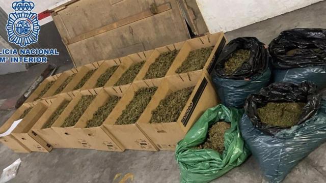 Siete detenidos por habilitar villas de lujo para cultivo, almacenamiento y preparación de marihuana.