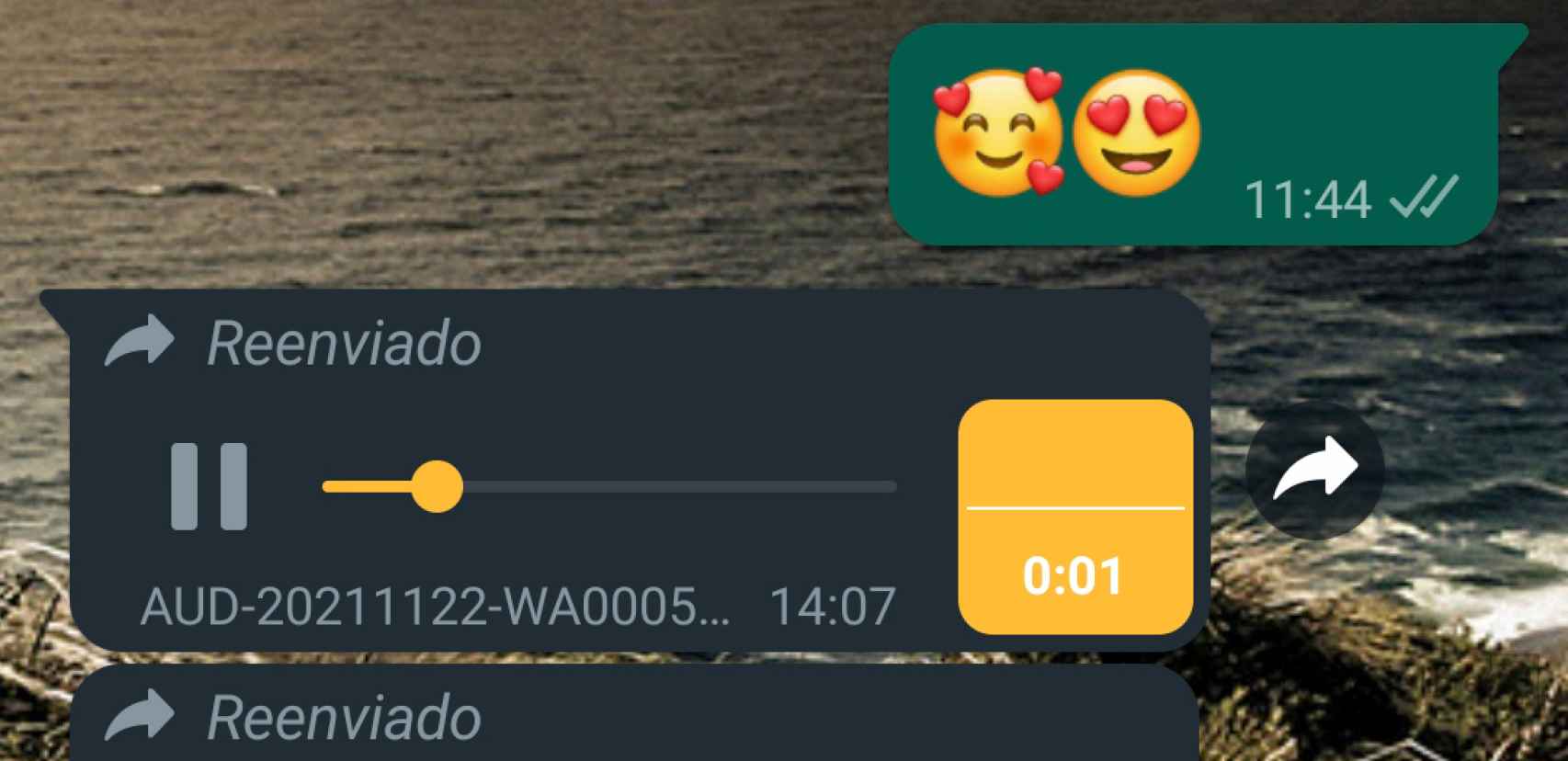Current playback of any audio uploaded to WhatApp