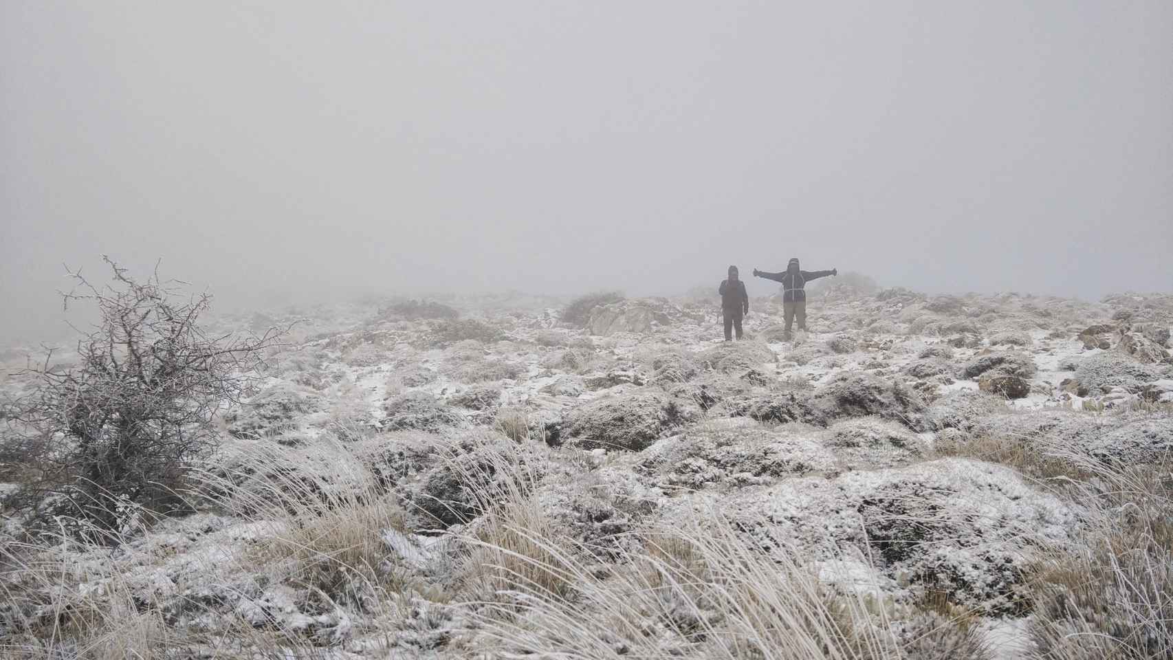 El primer manto blanco del año en la Sierra de las Nieves (Málaga), desde dentro