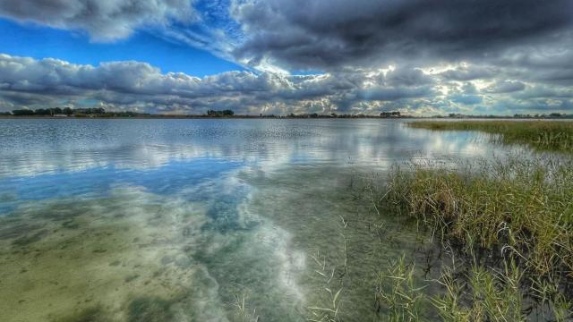 Lagunas de Villafranca (Toledo)