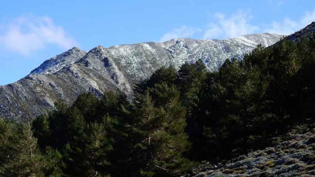La cumbre de La Maroma se encuentra nevada en esta época del año.