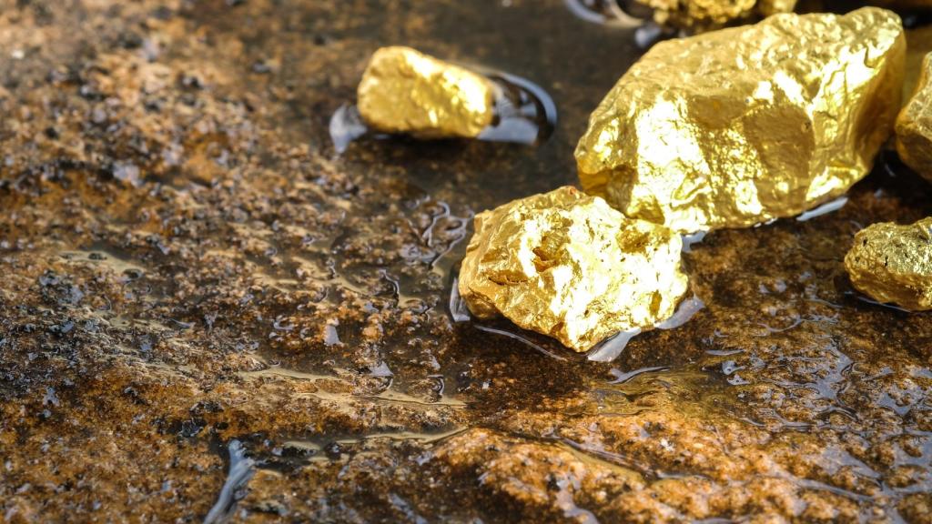 Pepitas de oro.