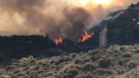 Vídeo del incendio declarado en el paraje natural de Maro, en Málaga.