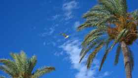 Cielos despejados y jornada con viento en Alicante.