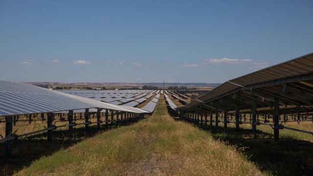 Planta solar de Amazon AWS en Alcalá de Guadaíra, Sevilla. Foto: María José López - Europa Press