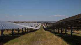 Planta solar de Amazon AWS en Alcalá de Guadaíra, Sevilla. Foto: María José López - Europa Press