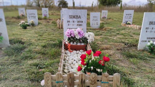 Una lápida del cementerio de Villabrágima.