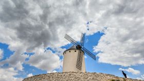 Disfruta de grandes planes en Castilla-La Mancha / foto: David Blázquez