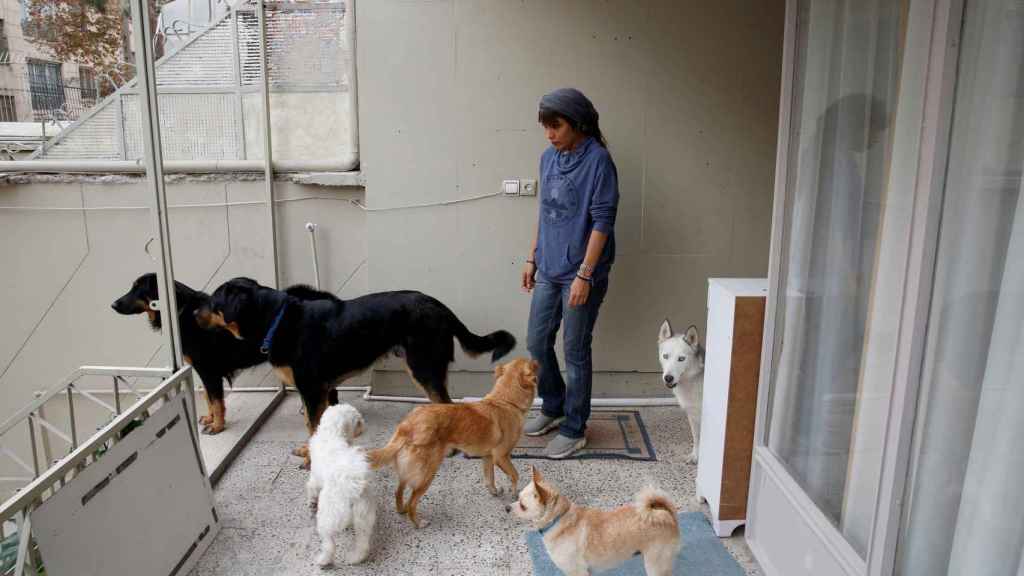 Maryam Talaí cuida a perros enfermos y abandonados en Teherán.