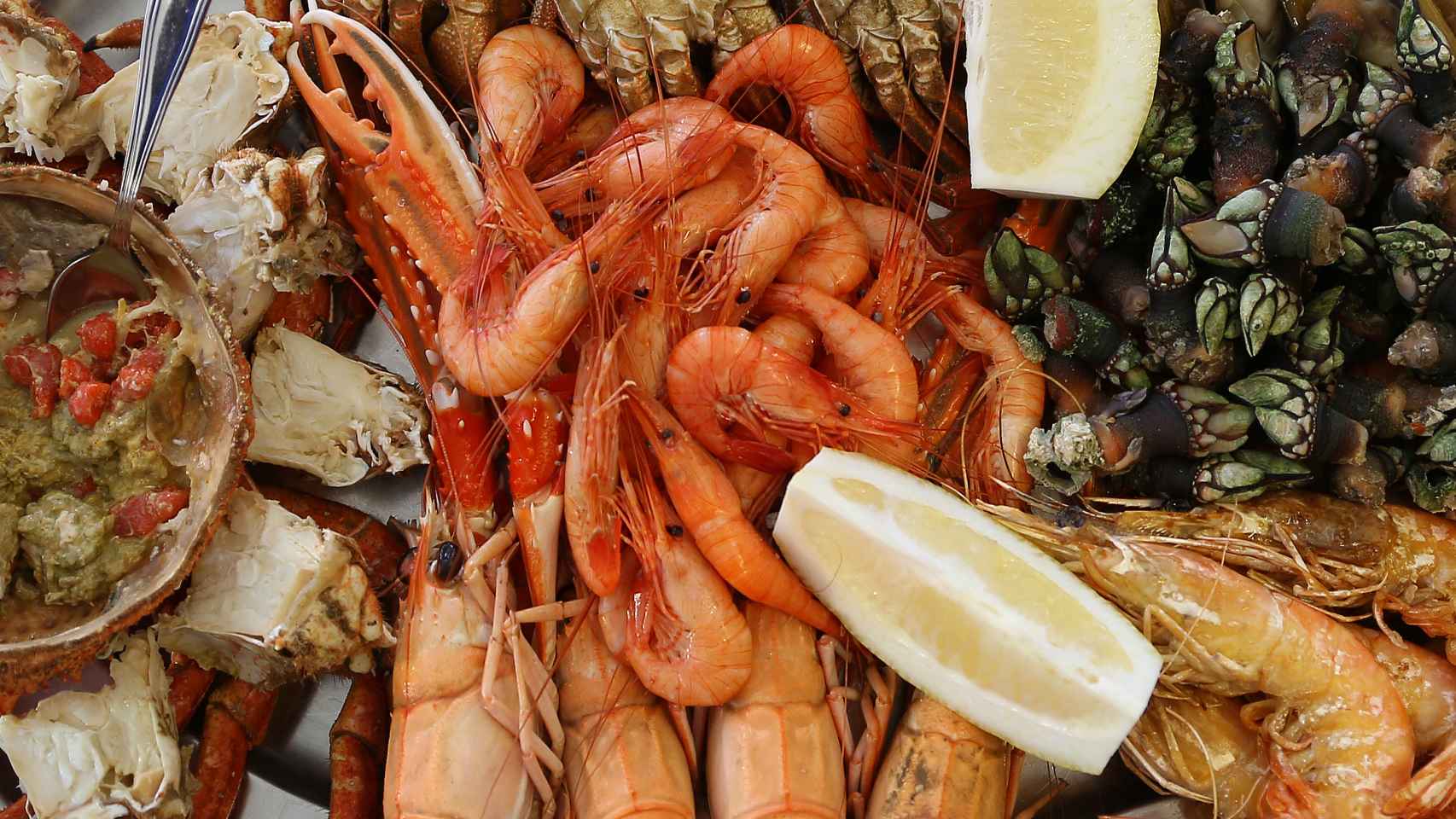 ¿Quién tiene más colesterol el pulpo o el camarón?