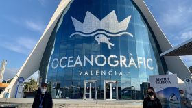Valencia Digital Summit tendrá lugar los próximos 15 y 16 de diciembre de 2021 en el Oceanográfico de Valencia, bajo el lema ‘Inspiring the Good Future’.