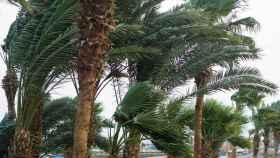 Vientos de hasta 70 kilómetros en Alicante.