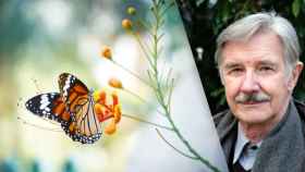 El biólogo evolutivo alemán Josef Reichholf lanza una súplica para evitar la desaparición de las mariposas