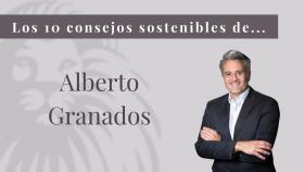 Innovación sostenible: 10 consejos para que las empresas aborden su transformación