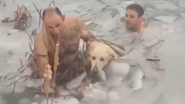 Los dos guardias rescatando al perro que estaba en peligro.