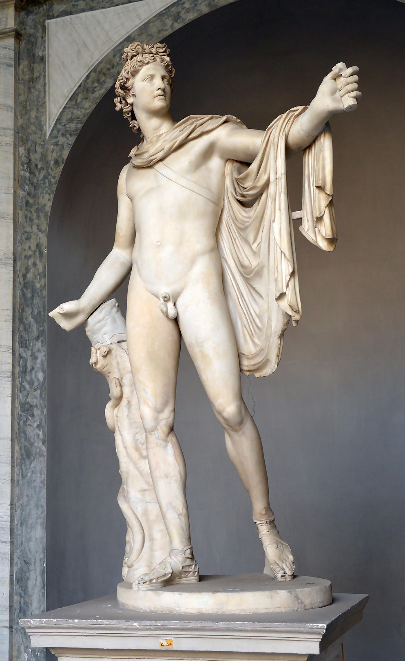 El Apolo Belvedere en los Museos Vaticanos en Roma.