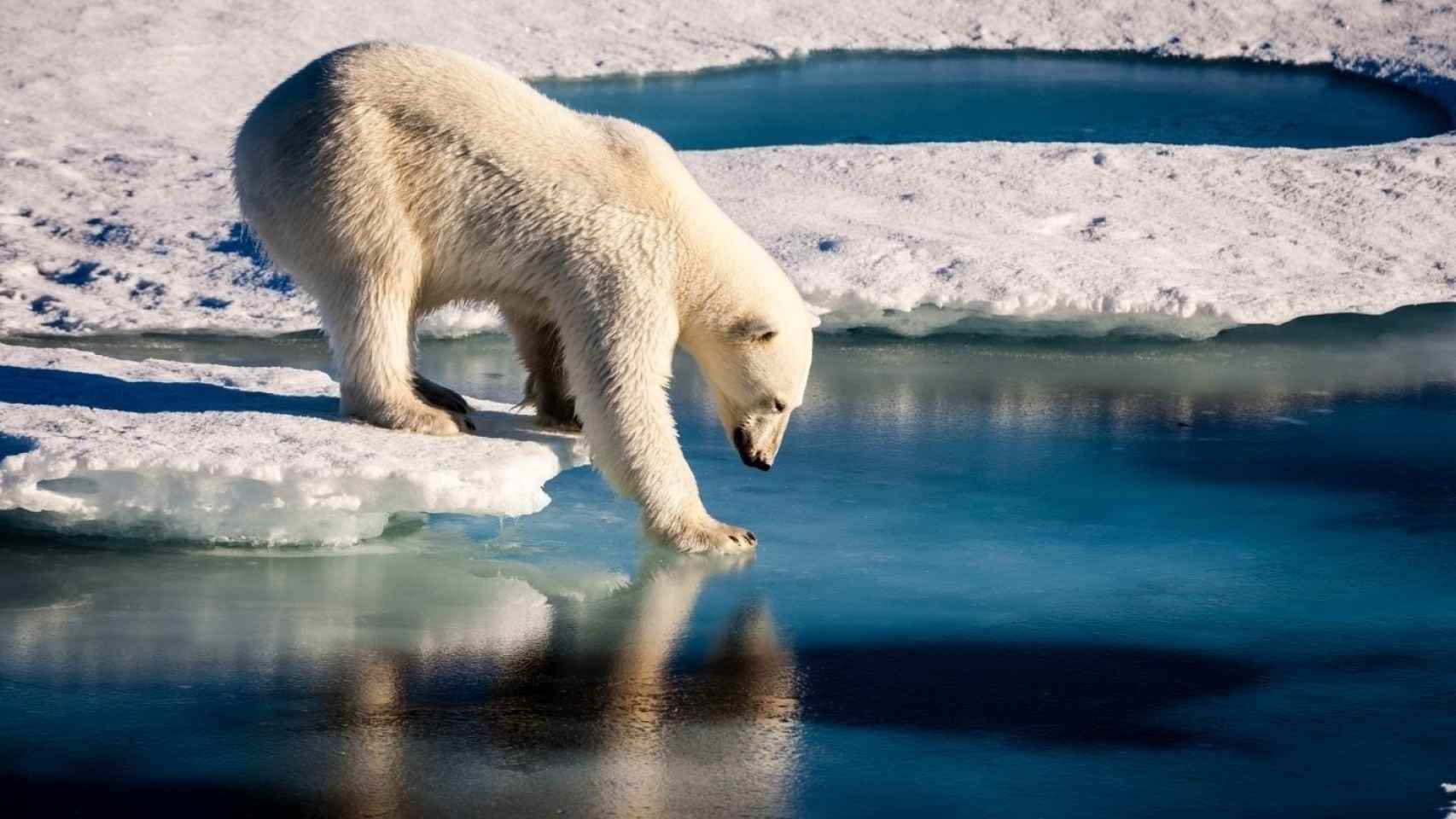 Cambios inéditos en 60 años de registro en el clima del Ártico.