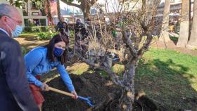 La concejala Noelia Losada en el acto de plantación del granado.