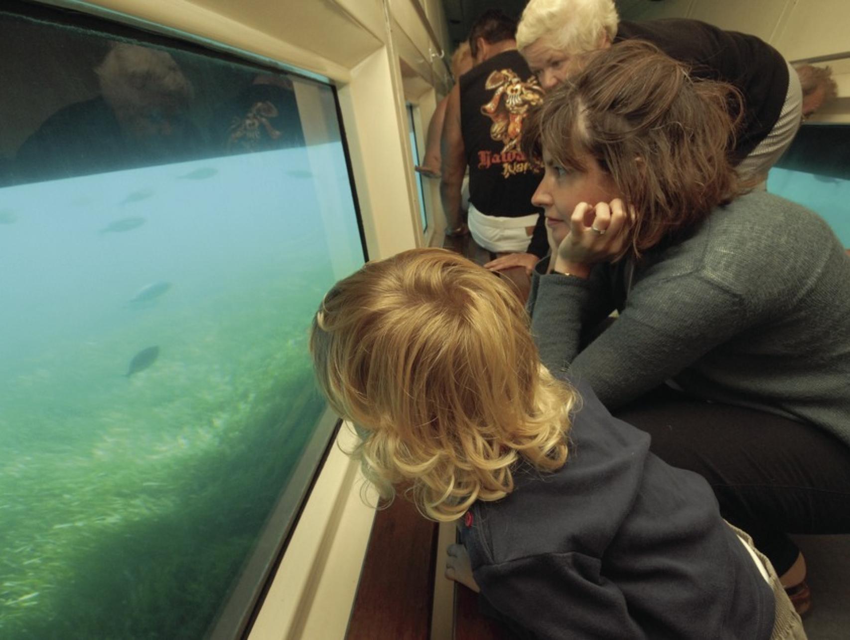 El turismo submarino en las islas Medas, frente a Estartit (Gerona), es un ejemplo para Perejil.