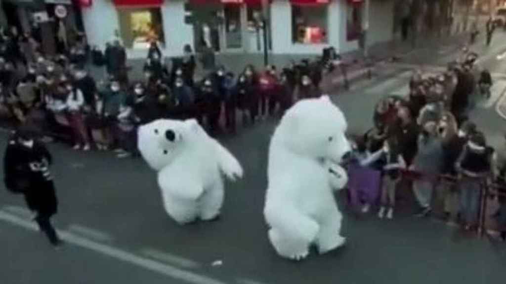 El ya famoso oso polar perjudicado de la cabalgata de Cádiz de hizo viral horas después del desfile.