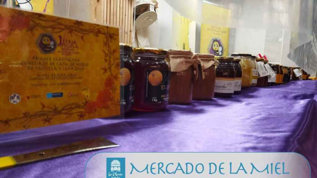La III Feria Apícola de Castilla y León se celebrará en Palencia los días 29 y 30 de enero