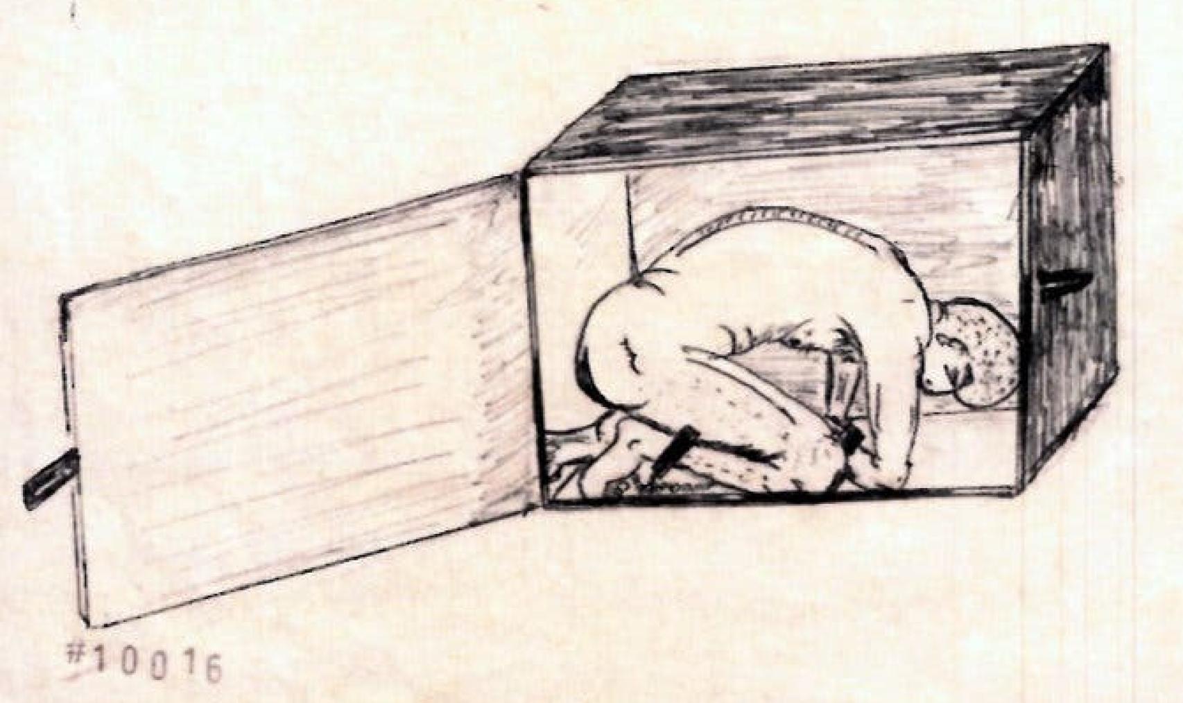 Dibujo de la descripción de las torturas por parte de un preso.