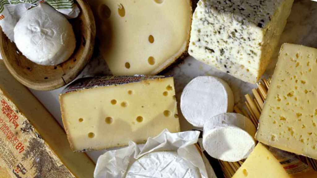 Algunos de los quesos analizados.
