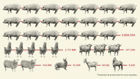 Clasificación del sector cárnico por toneladas de producción.