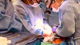 La operación de xenotrasplante de riñones de cerdo modificados a un paciente. Universidad De Alabama/Jeff Myers