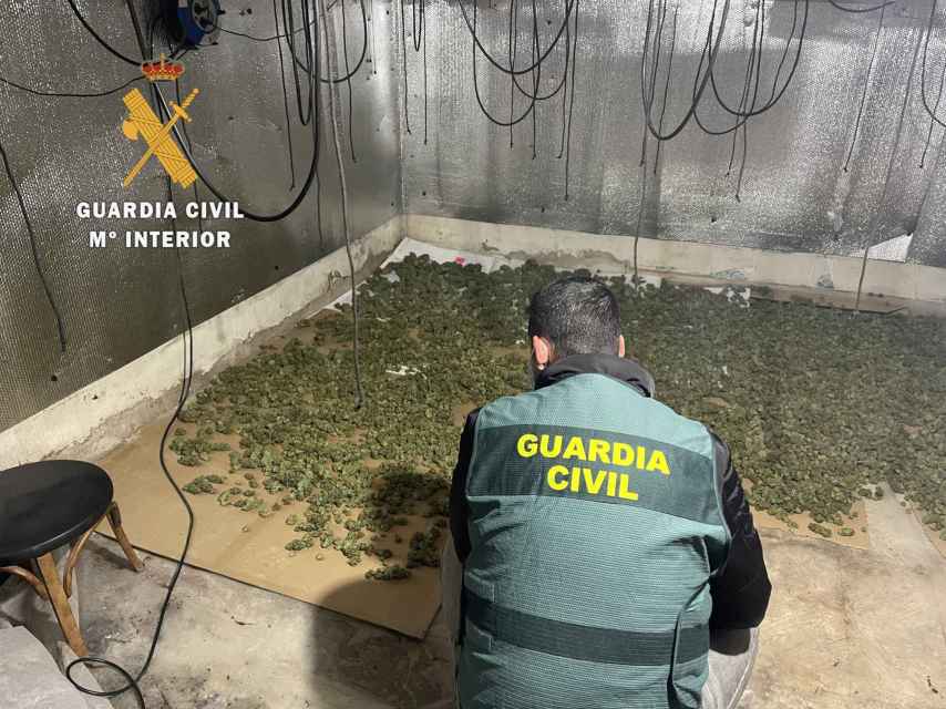 Un agente de la Guardia Civil registra el local donde se cultivaba droga